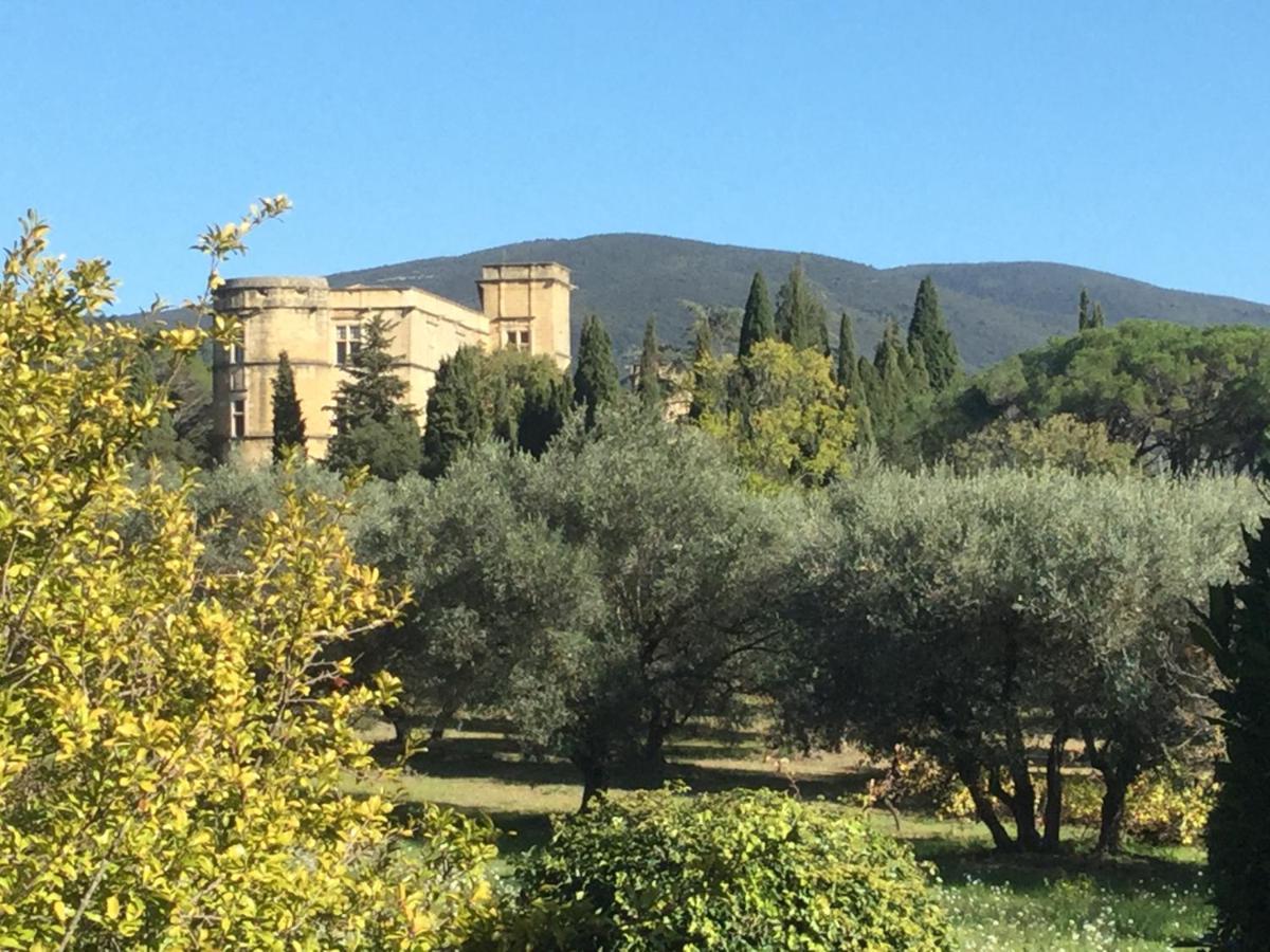 Domaine De Casteuse Appartement Les Vignes Lourmarin Exterior foto