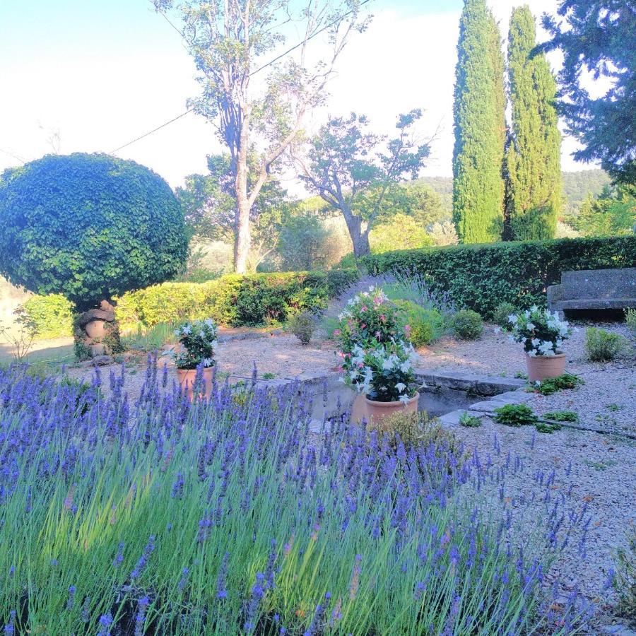 Domaine De Casteuse Appartement Les Vignes Lourmarin Exterior foto