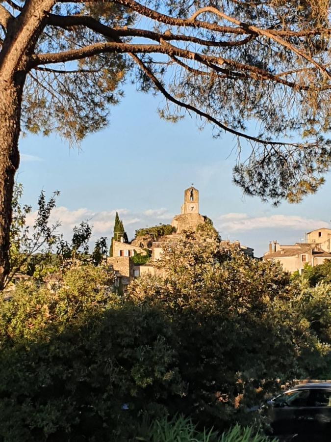 Domaine De Casteuse Appartement Les Vignes Lourmarin Exterior foto