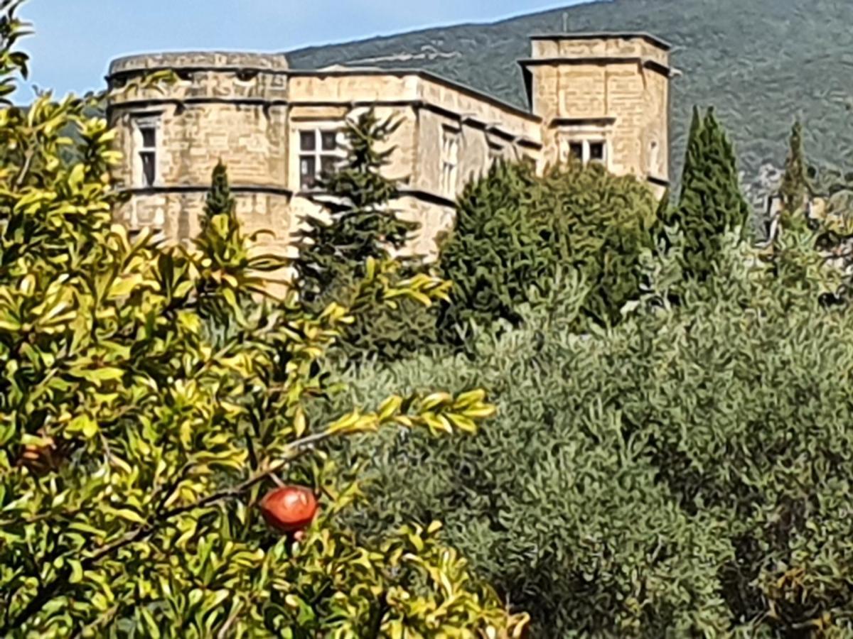 Domaine De Casteuse Appartement Les Vignes Lourmarin Exterior foto