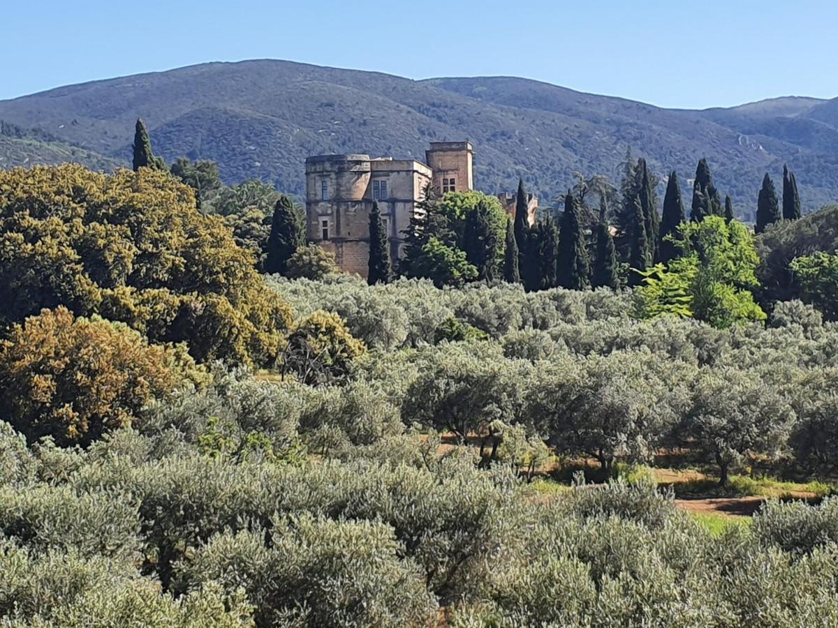 Domaine De Casteuse Appartement Les Vignes Lourmarin Exterior foto